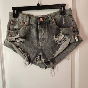 One teaspoon grey shorts
